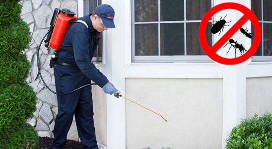 Vize Kemirgen İlaçlama böcek ilaçlama ve haşere kontrolü — ilaclama-tr.com